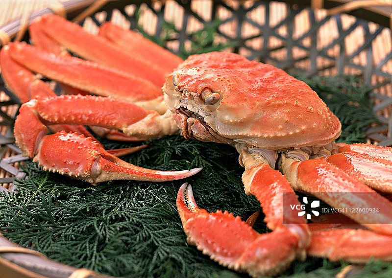 皇后蟹图片素材