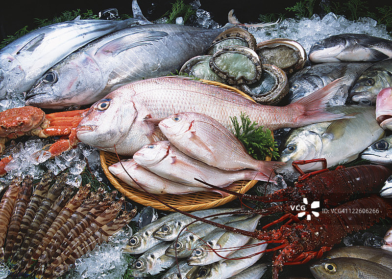 渔业产品图片素材