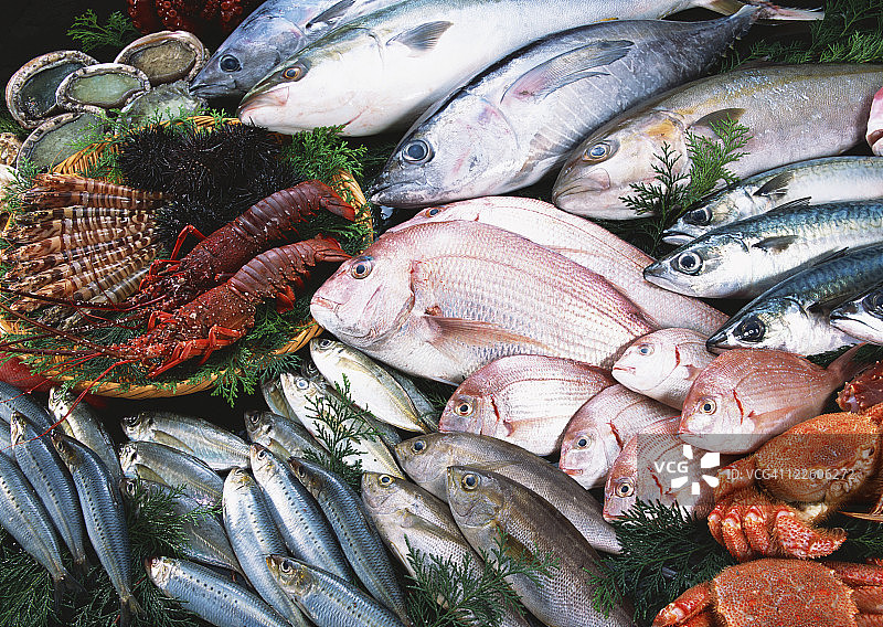 渔业产品图片素材