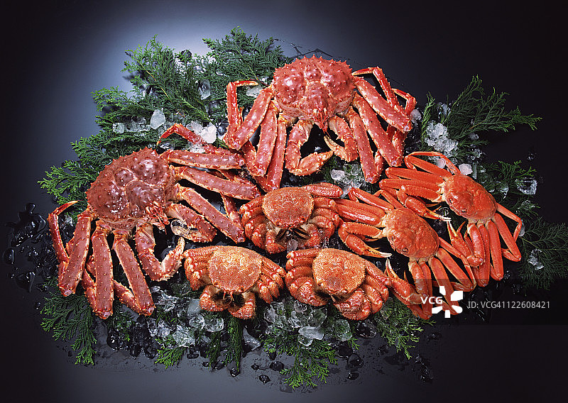 渔业产品图片素材