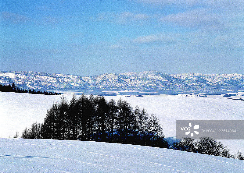 树林和山脉图片素材
