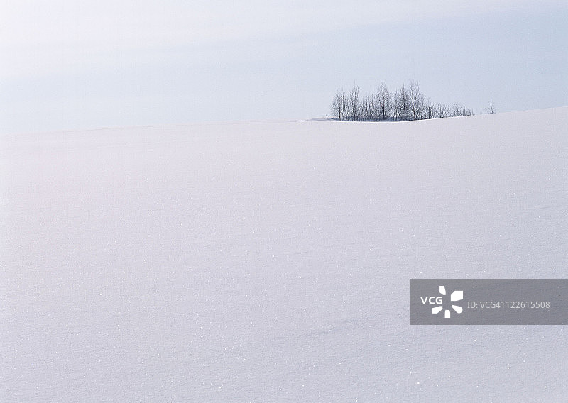 雪地图片素材