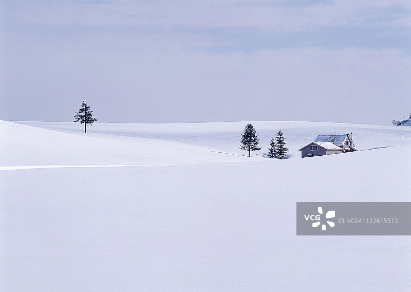 雪地图片素材