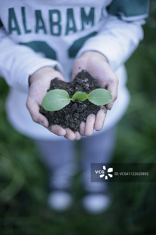 生态图片图片素材