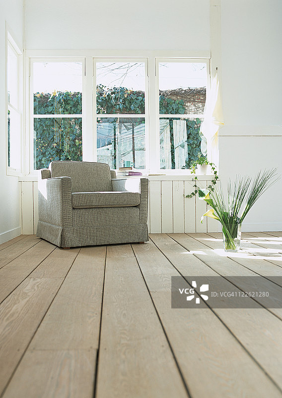 卷起的扶手椅和植物图片素材