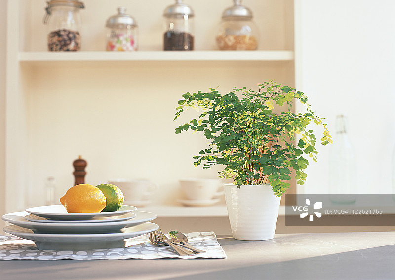 盆栽铁线蕨和餐具图片素材