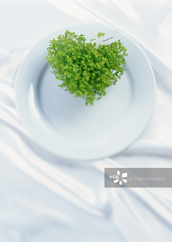 绿色布置图片素材