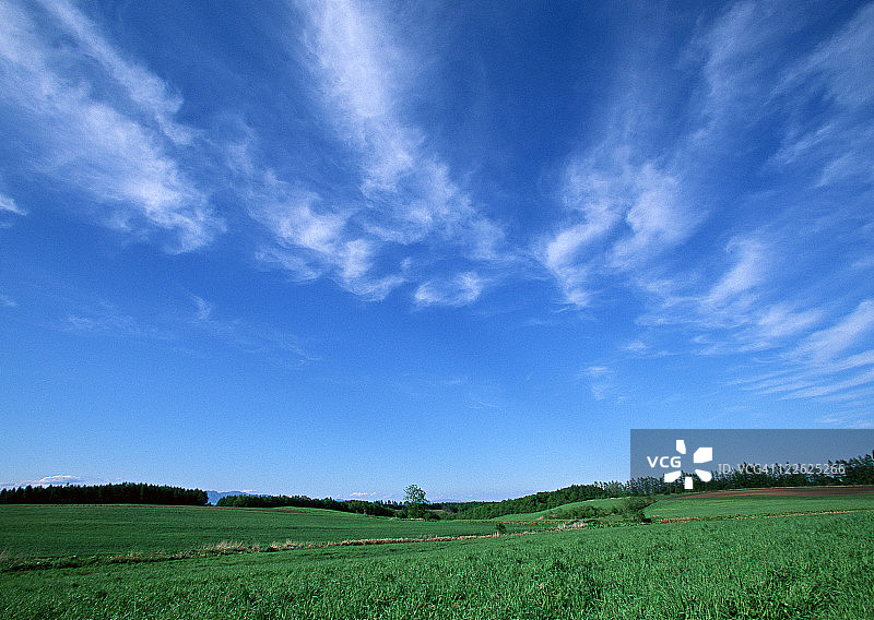 绿草平原图片素材