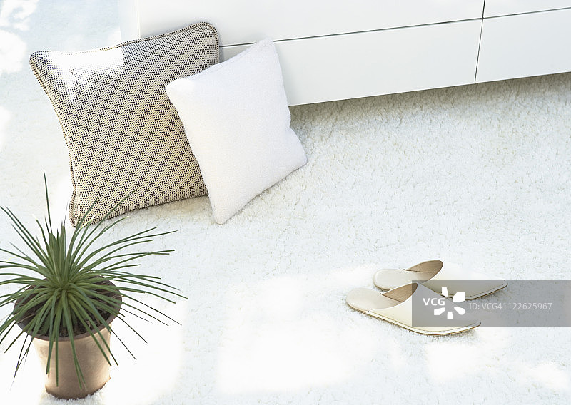 靠垫和盆栽植物图片素材