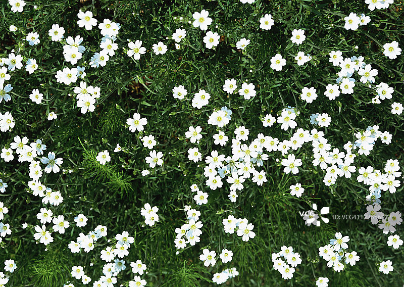 粉色地面图片素材