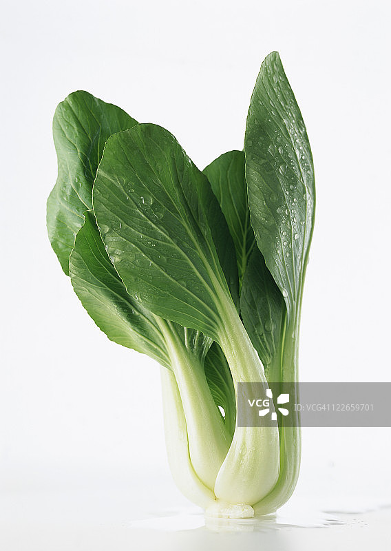 白菜图片素材