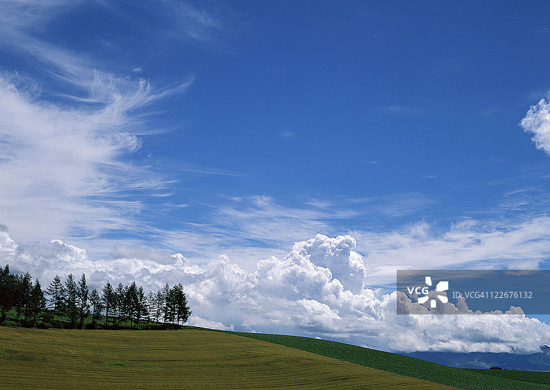 绿草平原图片素材