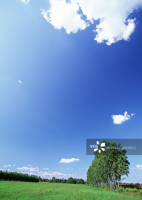 绿草平原图片素材