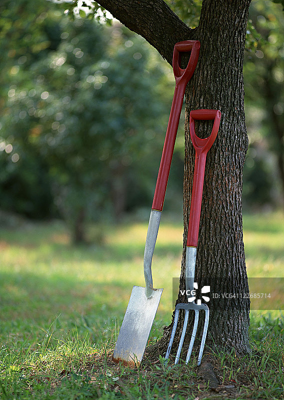 铁锹和叉子图片素材