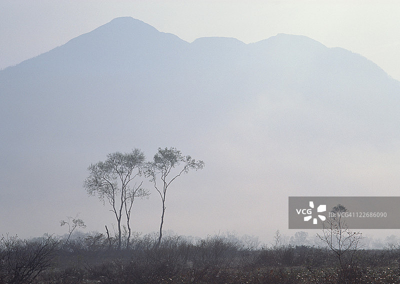沼泽地图片素材