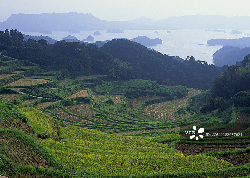 梯田图片素材