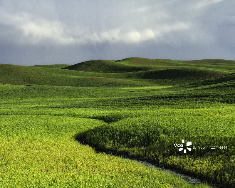 麦田的丘陵图片素材