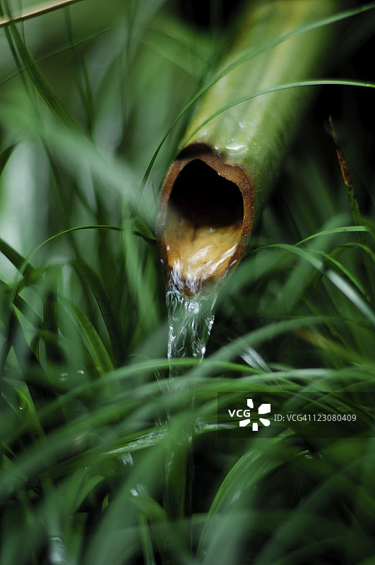 绿色竹制喷泉图片素材