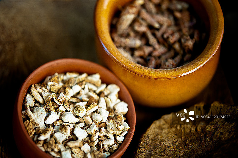 树根和树皮图片素材