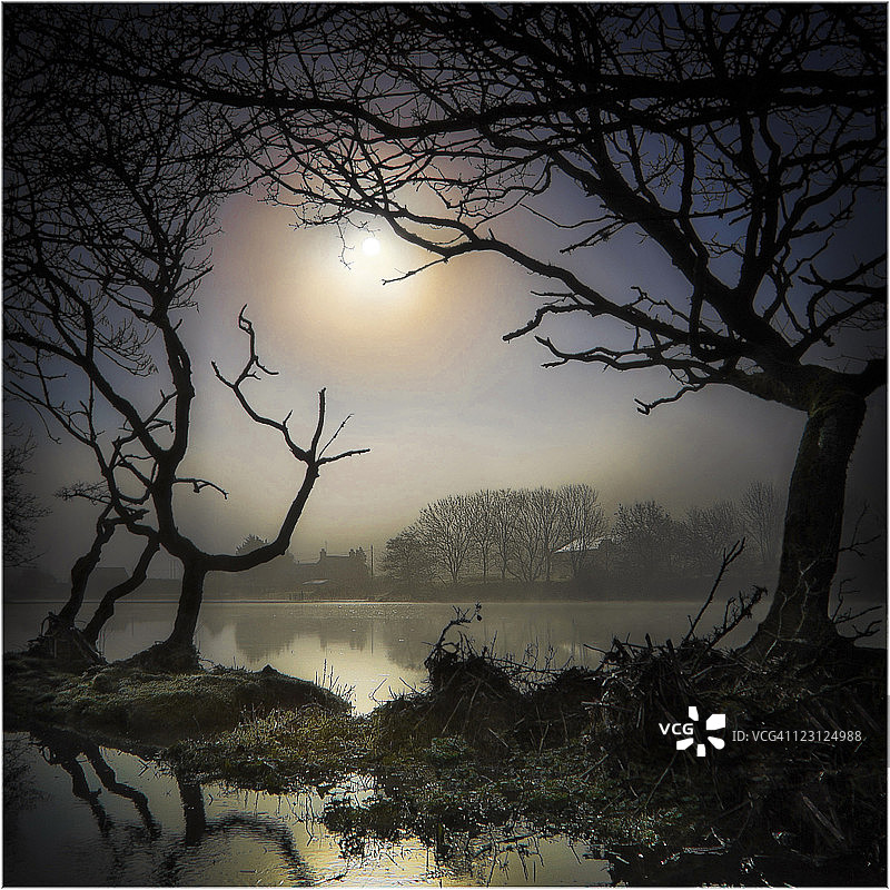 洪泛区迷雾图片素材