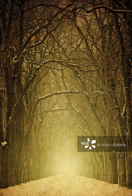 老旧的街道照片图片素材