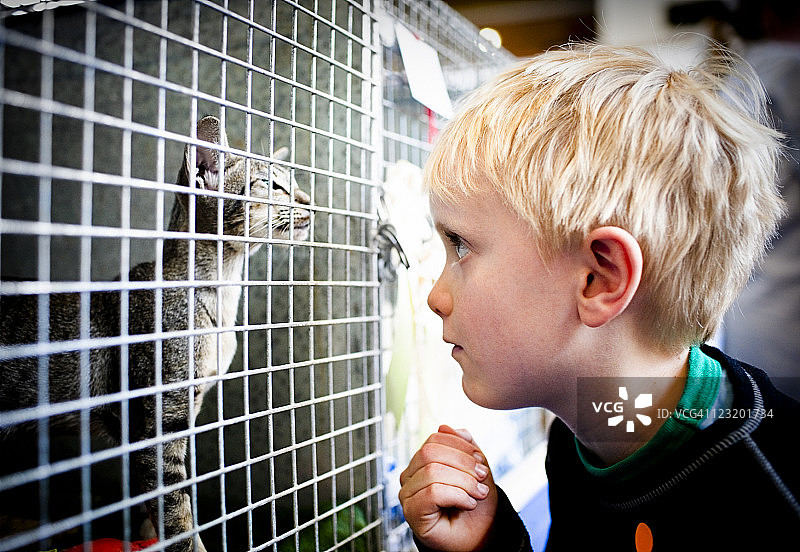 猫咪男孩图片素材