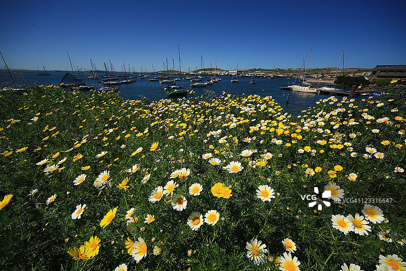 南非西海岸萨尔达尼亚湾游艇俱乐部图片素材