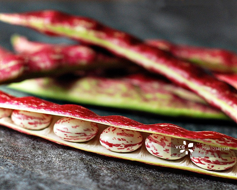 斑驳的红色博洛蒂豆图片素材