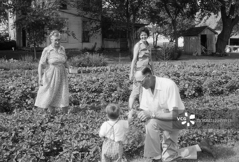1960年代家庭采摘草莓复古照片图片素材