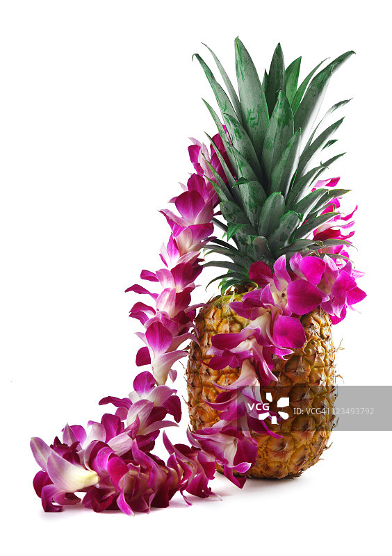 白色背景上的菠萝和花环图片素材