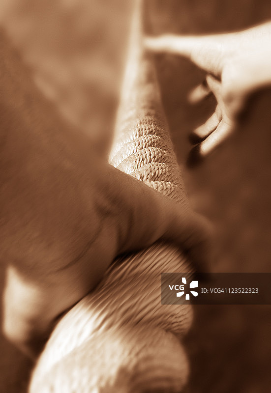 手握绳索，准备攀爬图片素材