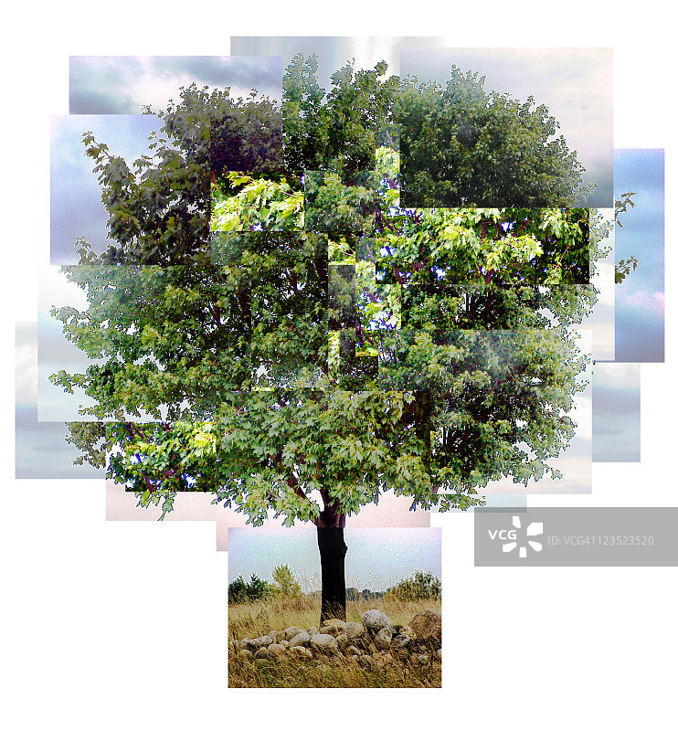 绿叶树木拼贴画图片素材