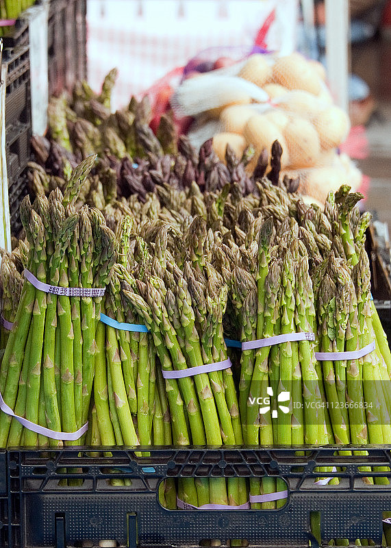 新鲜芦笋捆图片素材