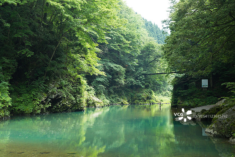 东京乡村的茂盛森林河流图片素材