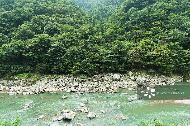 京都郁郁葱葱的森林中的火山河峡谷，日本图片素材