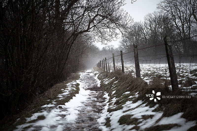雪路图片素材