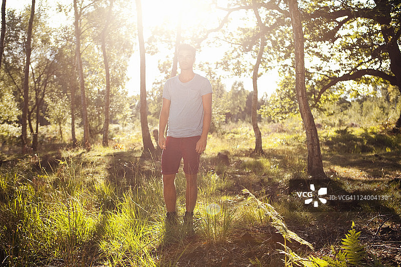 森林乐趣33图片素材