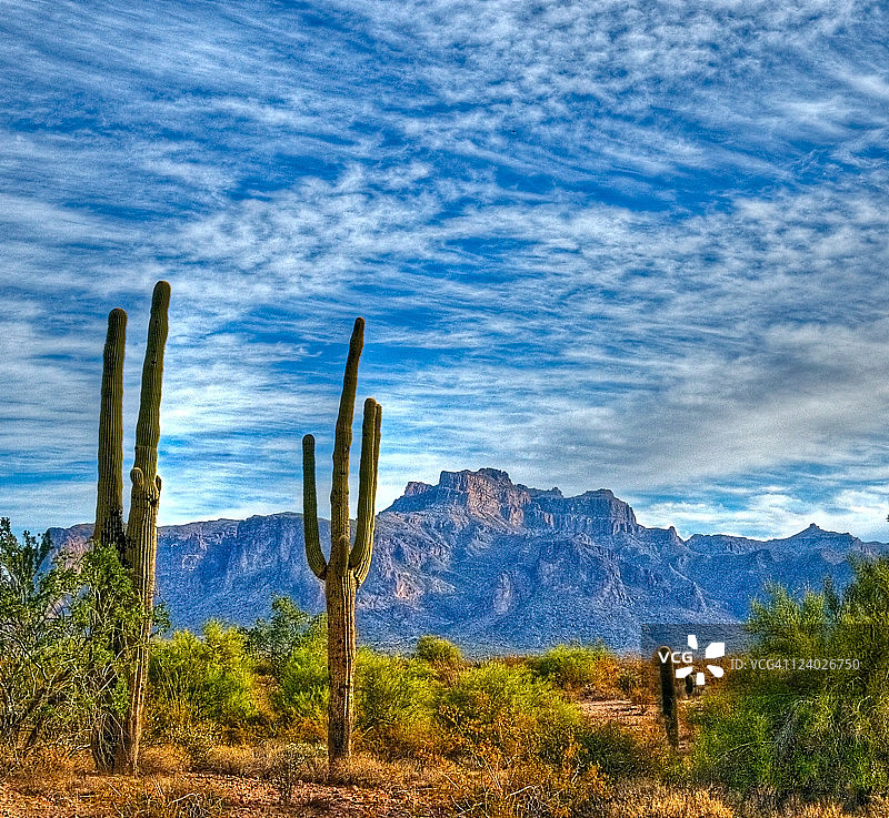 巨人柱图片素材