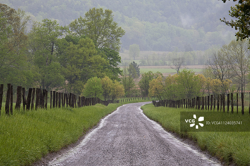 斯帕克斯巷，凯德斯湾，斯莫基斯图片素材
