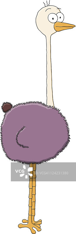 鸵鸟图片素材