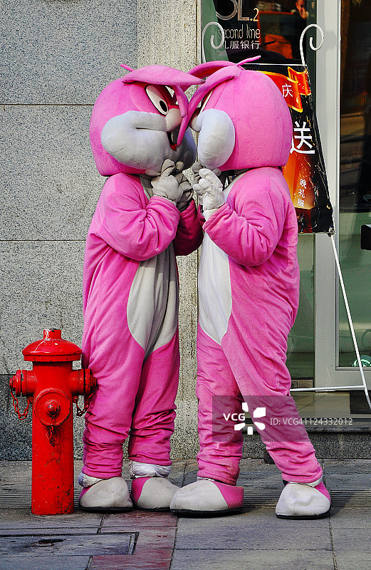 情侣兔子图片素材