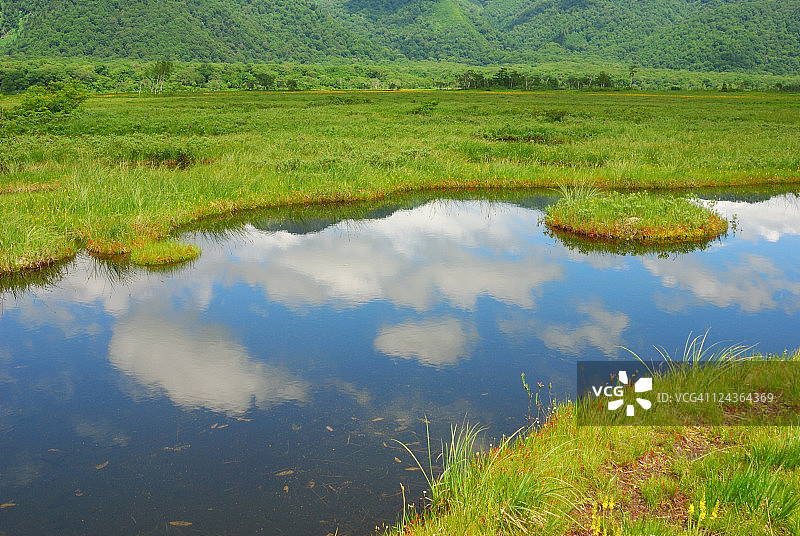 Oze国家公园图片素材