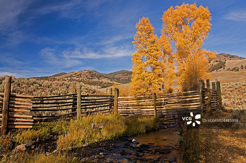 拉马尔山谷水牛牧场景色图片素材