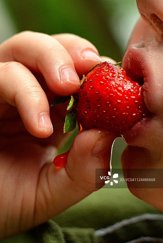 男孩吃草莓图片素材
