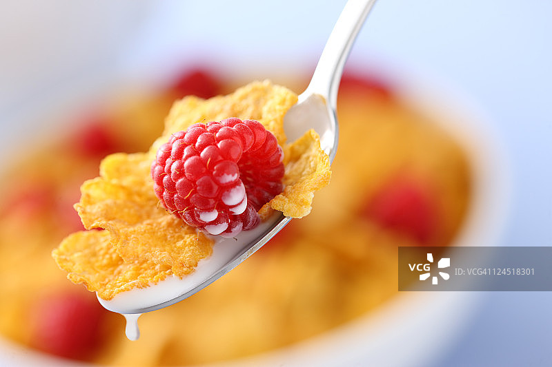 勺子上的谷物和覆盆子图片素材