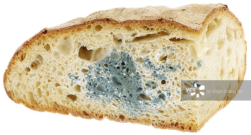面包上的霉菌图片素材