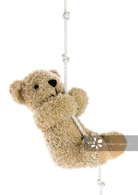 攀爬绳索的泰迪熊图片素材