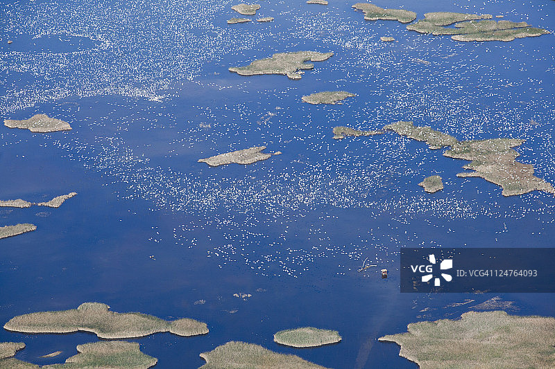 美国加利福尼亚州萨克拉门托国家野生动物保护区航拍图片素材