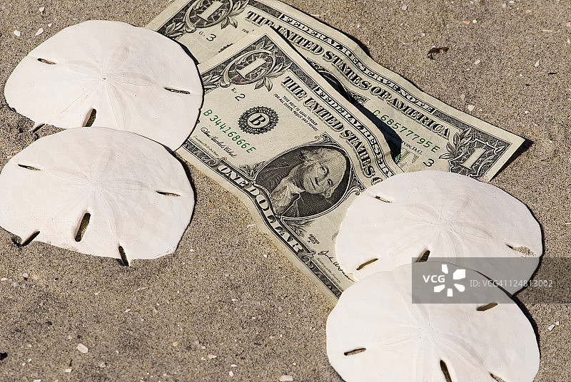 海滩上的沙钱和一美元钞票图片素材