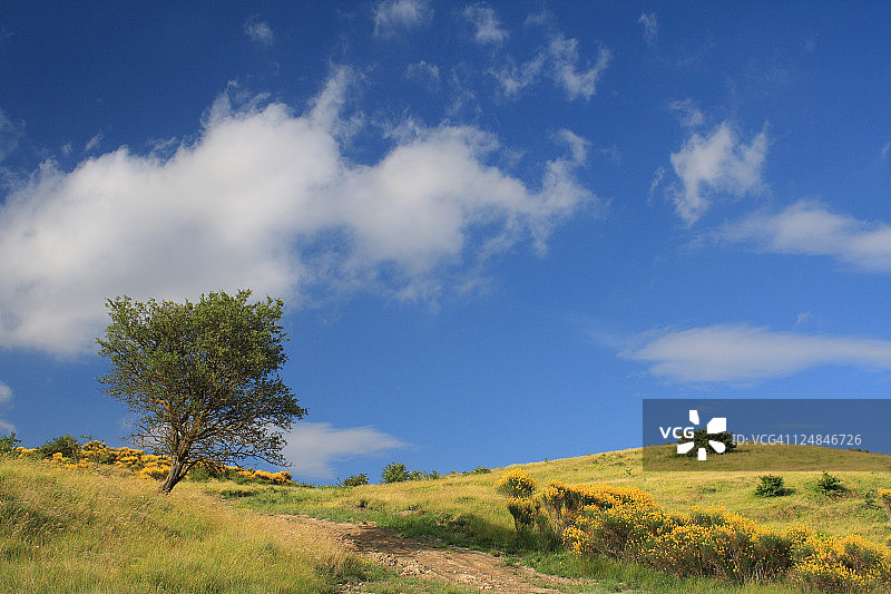 美丽风景一览图片素材